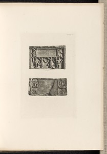 Plate III