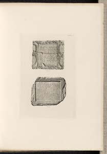 Plate IV