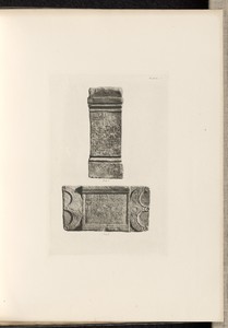 Plate V