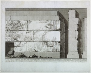 Plate V, vol. II of "Le Antichità Romane"