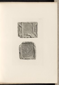 Plate VI