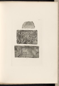 Plate VII