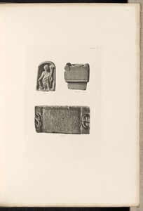 Plate XI