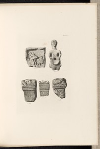 Plate XII