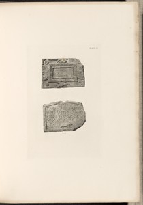 Plate XIII