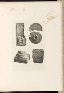 Plate XVI