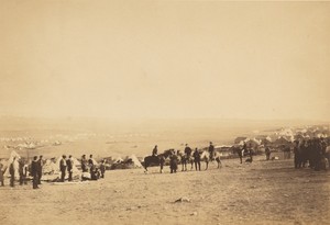 Plateau of Sebastopol IV.