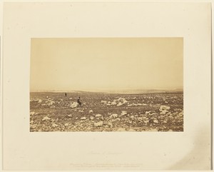 Plateau of Sebastopol IX.