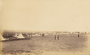 Plateau of Sebastopol V