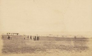 Plateau of Sebastopol VII.