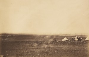 Plateau of Sebastopol VIII.