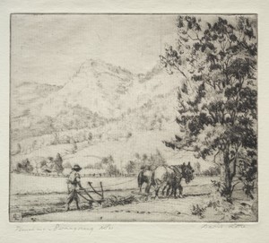 Ploughing - Burragorang, New South Wales, Australia