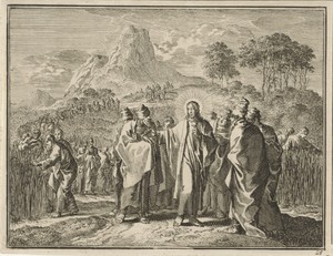 Plukken van koren op de sabbat