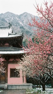 Plum Blossom Temple