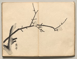 Plum from Ōkyo Picture Book