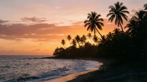 PNG Sunset Coast