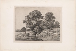 Poel aan de voet van een groep bomen