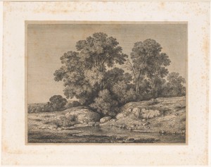 Poel aan de voet van een groep bomen