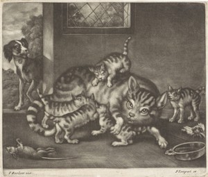 Poes met vijf jongen