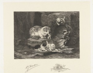 Poes met vijf spelende jongen