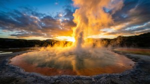 Pohutu Geyser Dawn