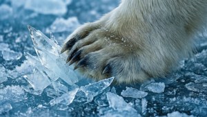 Polar Claw Ice