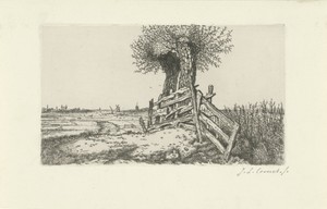 Polderlandschap met hekje