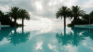 Pool Reflection Symmetry