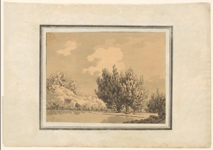 Poplar