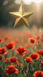 Poppies and Gold Star
