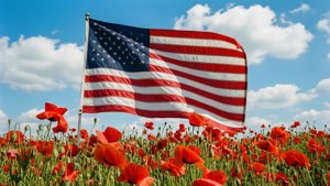 Poppies and Stripes