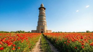Poppies and Tower