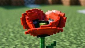 Poppy Close-Up Pixel