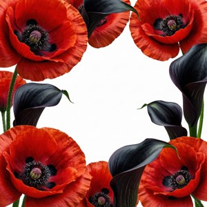 Poppy Contrast Frame