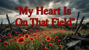 Poppy Field Remembrance