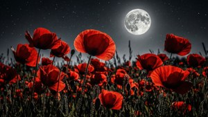 Poppy Moon Silhouette
