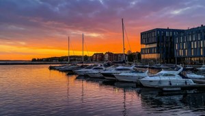 Port Sunset