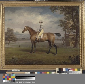 Portrait of a Racehorse, Possibly Disguise, the Property of the Duke of Hamilton, with Jockey Up