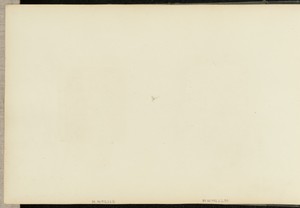 [Portrait of a woman]