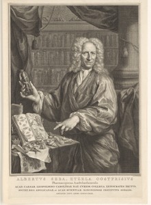 Portrait of Albertus Seba
