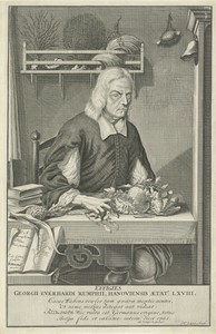 Portrait of Georg Everhard Rumphius