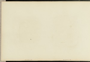 [Portrait of three girls]