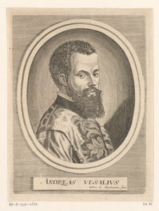 Portret van Andreas Vesalius
