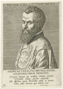 Portret van Andreas Vesalius