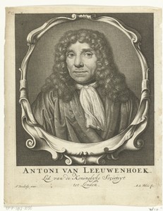 Portret van Antonie van Leeuwenhoek