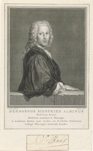 Portret van Bernard Siegfried Albinus