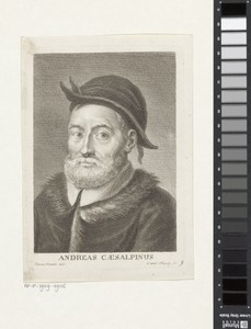 Portret van botanicus en medicus Andrea Cesalpino
