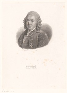 Portret van Carl Linnaeus