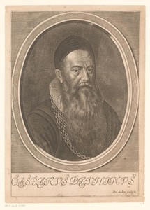 Portret van Caspar Bauhin