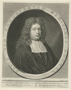 Portret van David Fransz. van Hoogstraten
